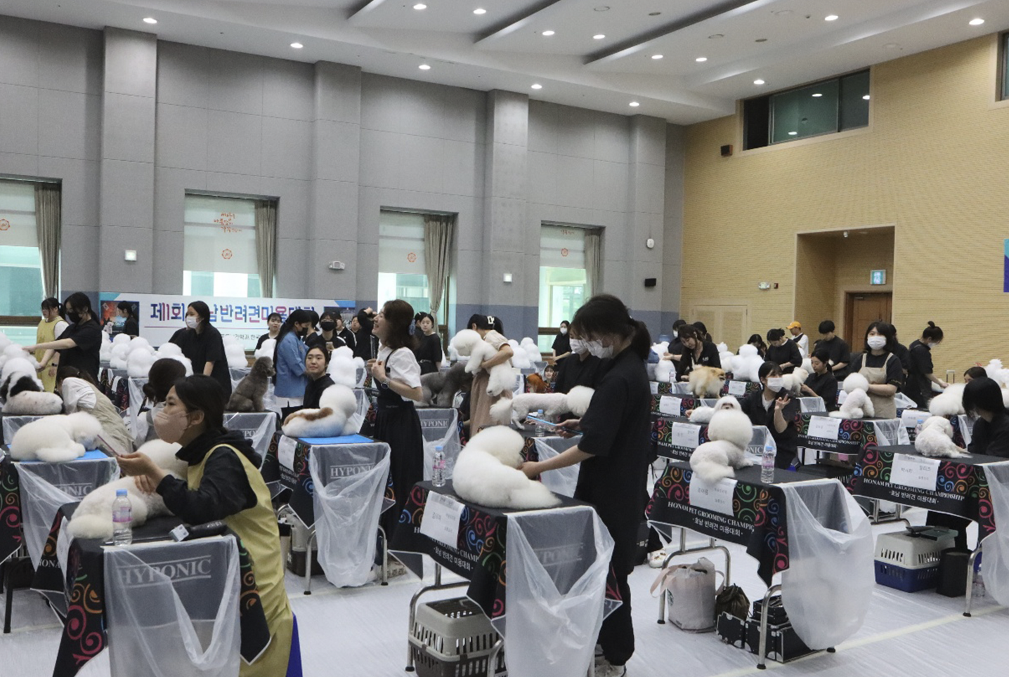 자격증 취득 과정